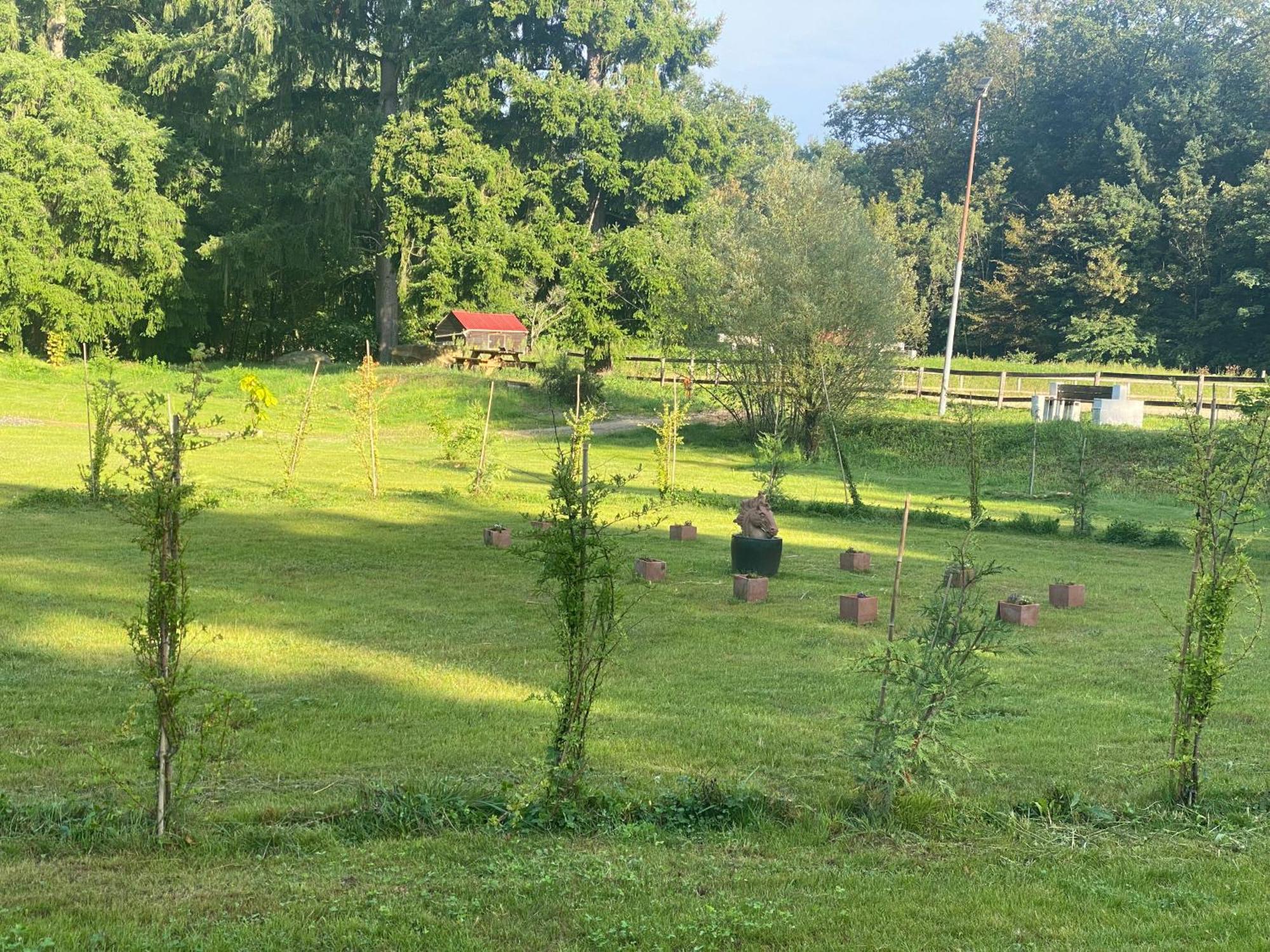 Maison Dans Parc Prive, Sports Et Loisirs Proche Golf Du Coudray Montceaux Le Coudray-Montceaux Dış mekan fotoğraf